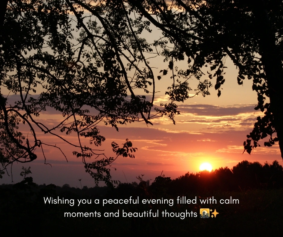 good evening messages

