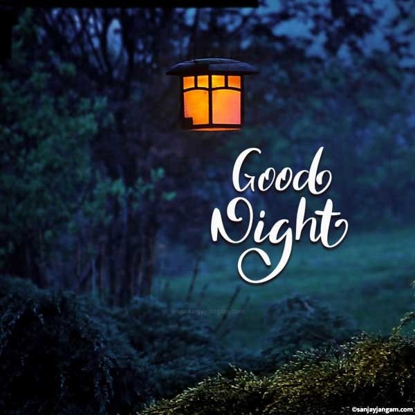good night wishes